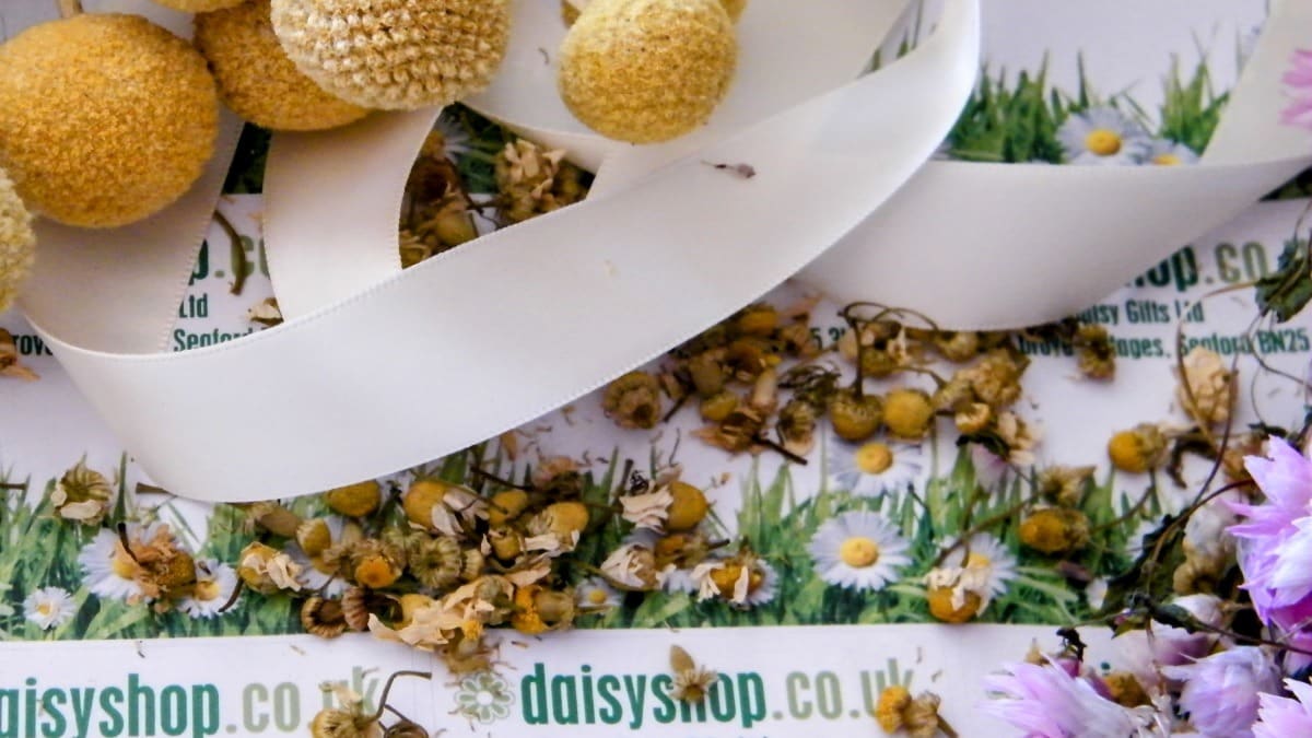 (c) Daisyshop.co.uk