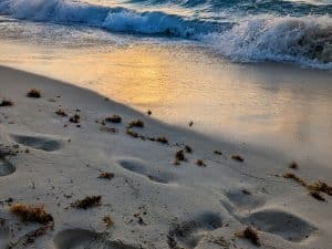 winter seaside snow