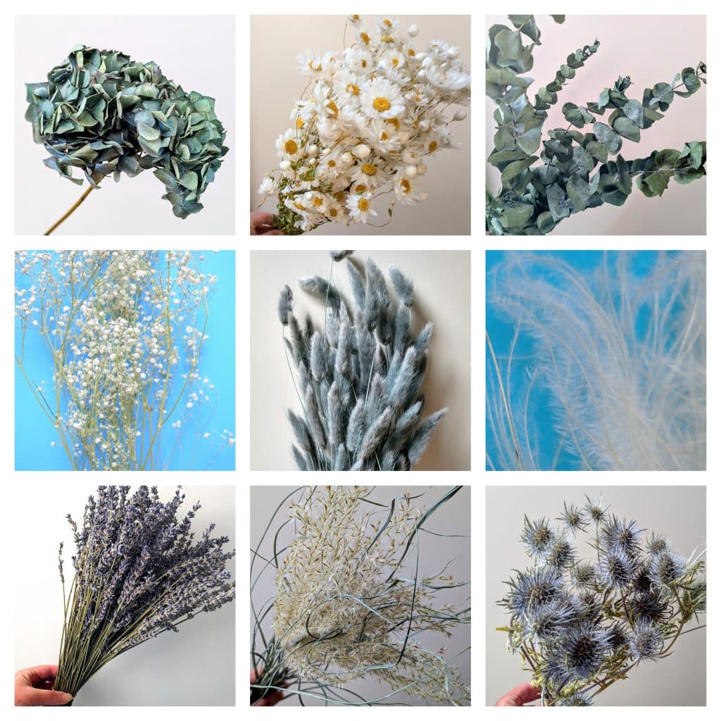 winter dried flowers cold