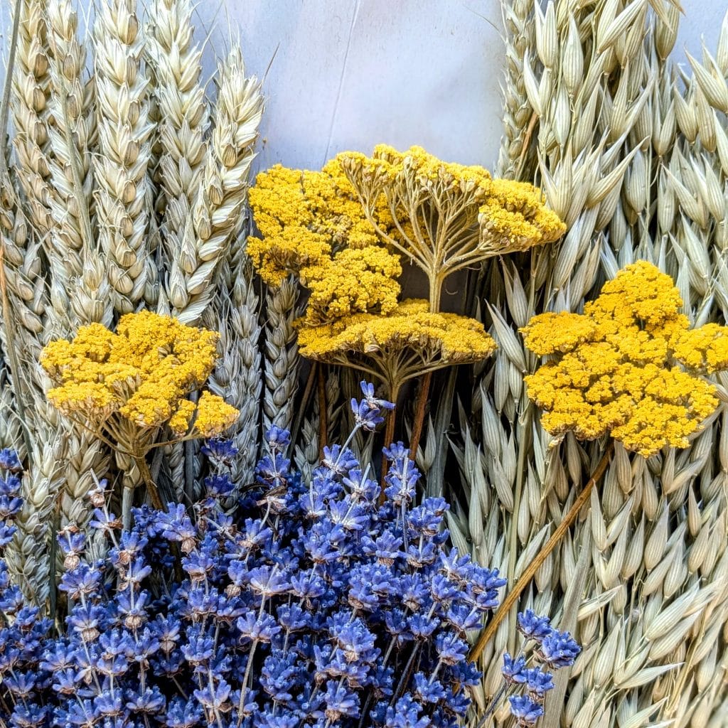 DIY natural Christmas gift idea - four bunch offer uk