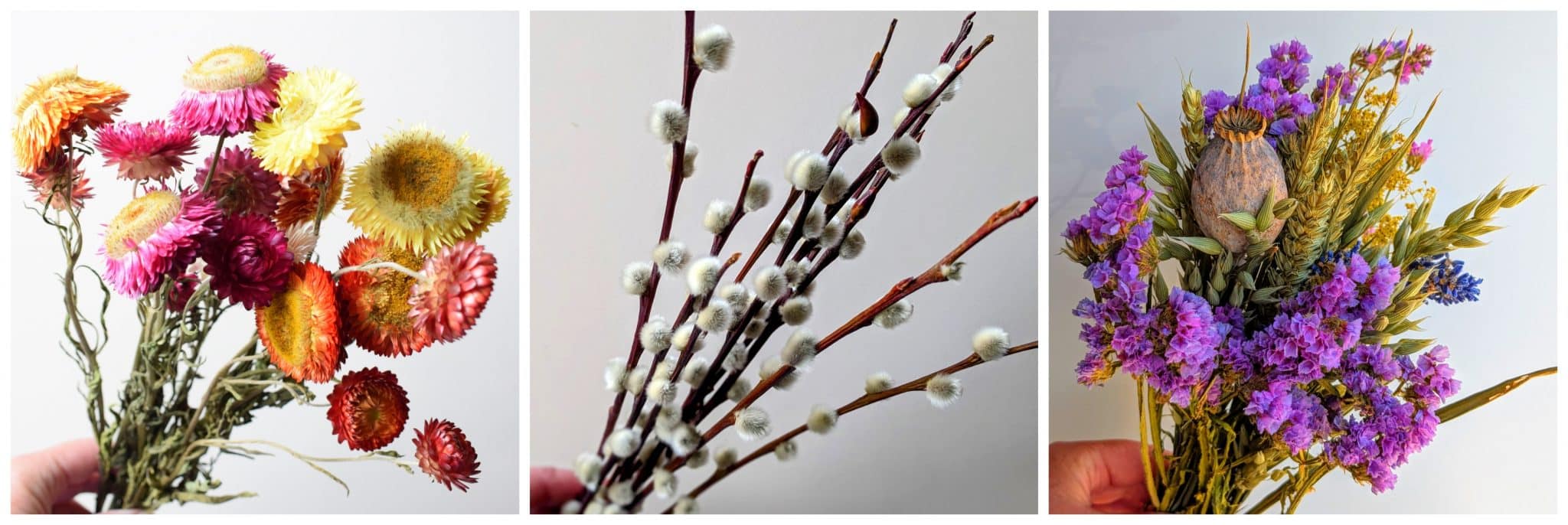 spring dried flower gifts