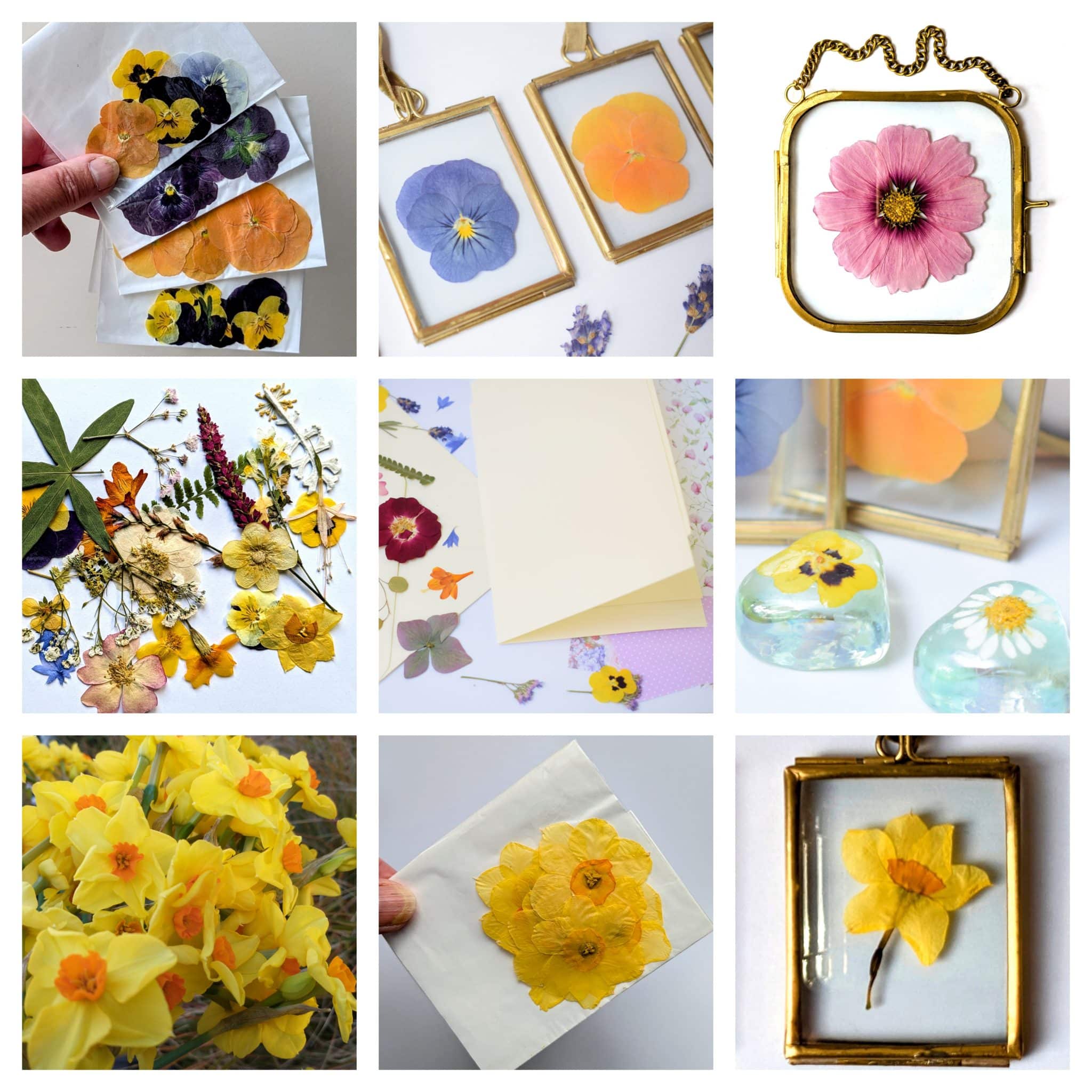 spring pressed flower craft